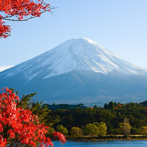 Best Asia Cruise Deals