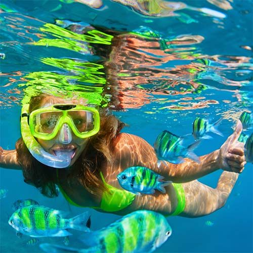 Snorkeling
